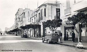 2895- Mostaganem - Avenue Anatole France